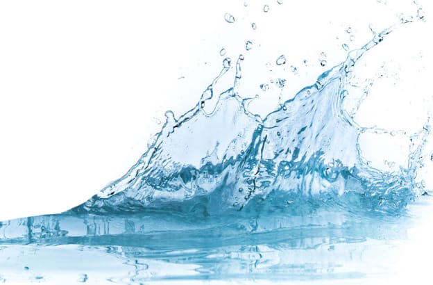 Sustainable Sips: Navigating the Future of Beverages